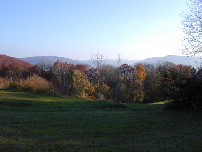 DSCN0011
