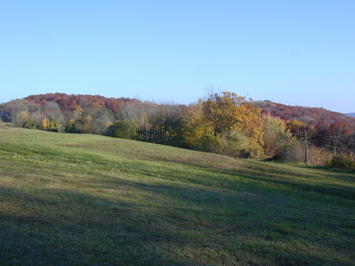 DSCN0012