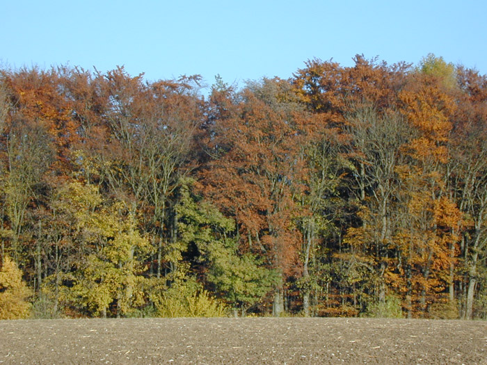 DSCN0020