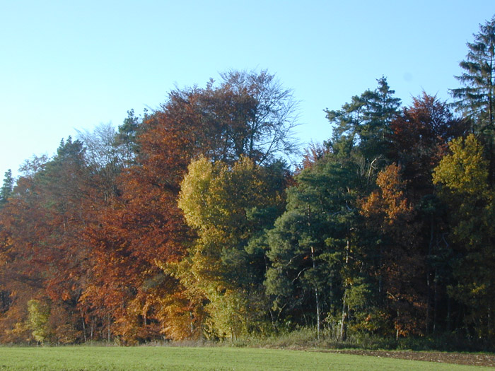 DSCN0021