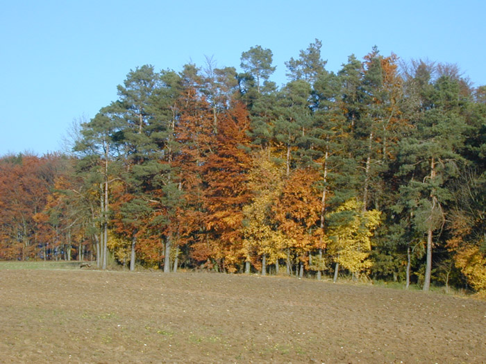 DSCN0026