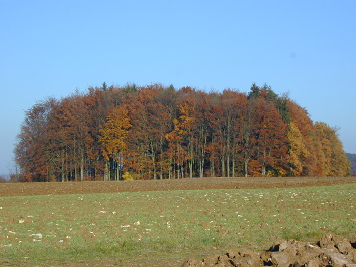 DSCN0028