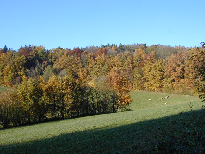 DSCN0029