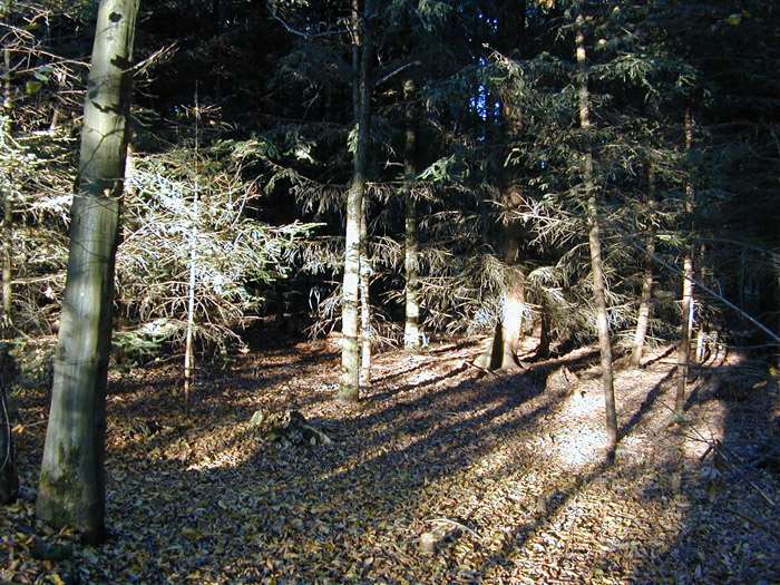 DSCN0621