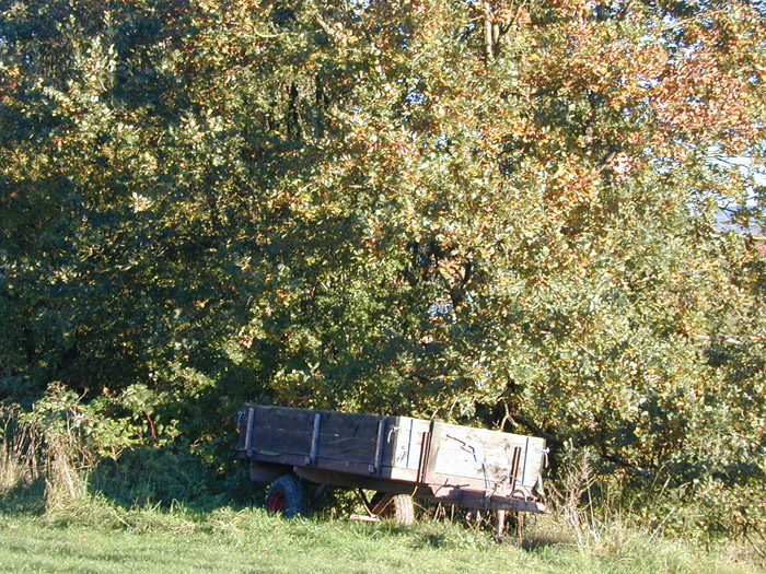 DSCN0643