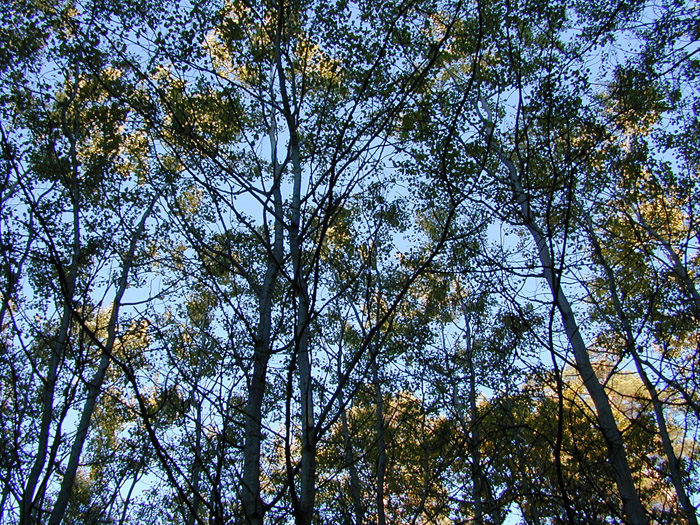 DSCN0651