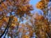 DSCN0005
