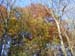 DSCN0009