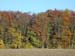 DSCN0020