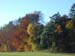 DSCN0021
