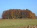 DSCN0028