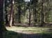 DSCN0082