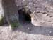 DSCN0096