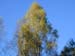 DSCN0627