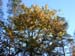 DSCN0631