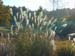 DSCN0640