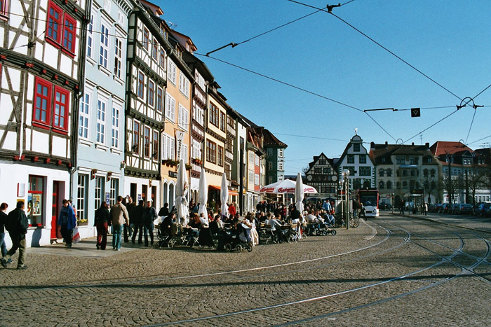 imm008